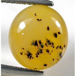 2.83ct RARE Top AAA  Natural Green Emerald (GEM-8295)