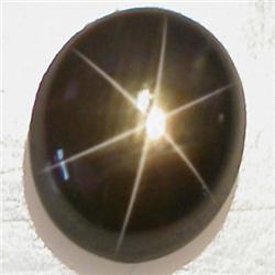 1.9ct RARE  Oval Cabochon Black Star Sapphire (GEM-8314A)
