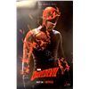 Image 1 : Autographed Daredevil Poster