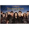 Image 1 : Autographed Twilight Poster