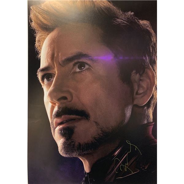 Autographed Avengers Endgame Robert Downey Jr Poster