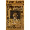 Image 1 : Harry Potter Michael Gambon Poster Autographed