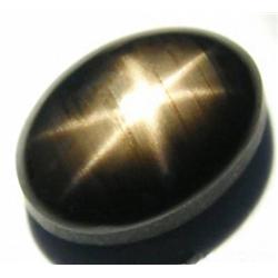 2.73ct Dancing 6 Ray Black Star Sapphire (GEM-4762)