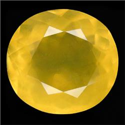 15.55ct RARE Scintillating Yellow Fire Mexico Natural Opal (GEM-8901)