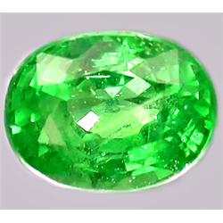 1.12ct RARE Top Green Tsavorite Garnet Tanzania Untreated VS (GEM-8136)