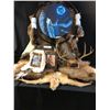 Image 1 : Deer Hyde, Deer Antlers, Huge Native American Dream Catcher, Rabbit Fur & Feather Painting & Bury my