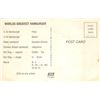 Image 2 : 4 View Fuddruckers Hamburgers Advertising Postcard