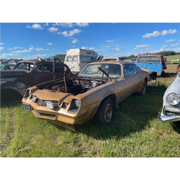 Z28 1981 Camaro , 4 speed, Manual