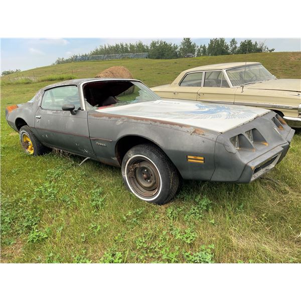 1979 Pontiac Firebird, no motor, no transmission