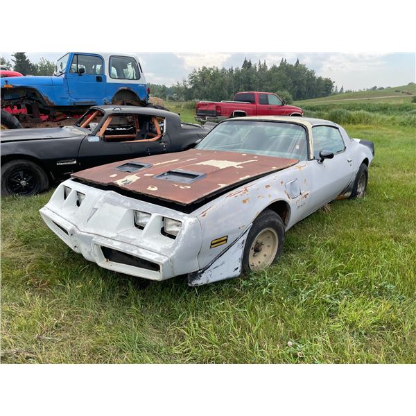 1981 Pontiac Firebird, 350 automatic, T Tops , HAS A RESERVE