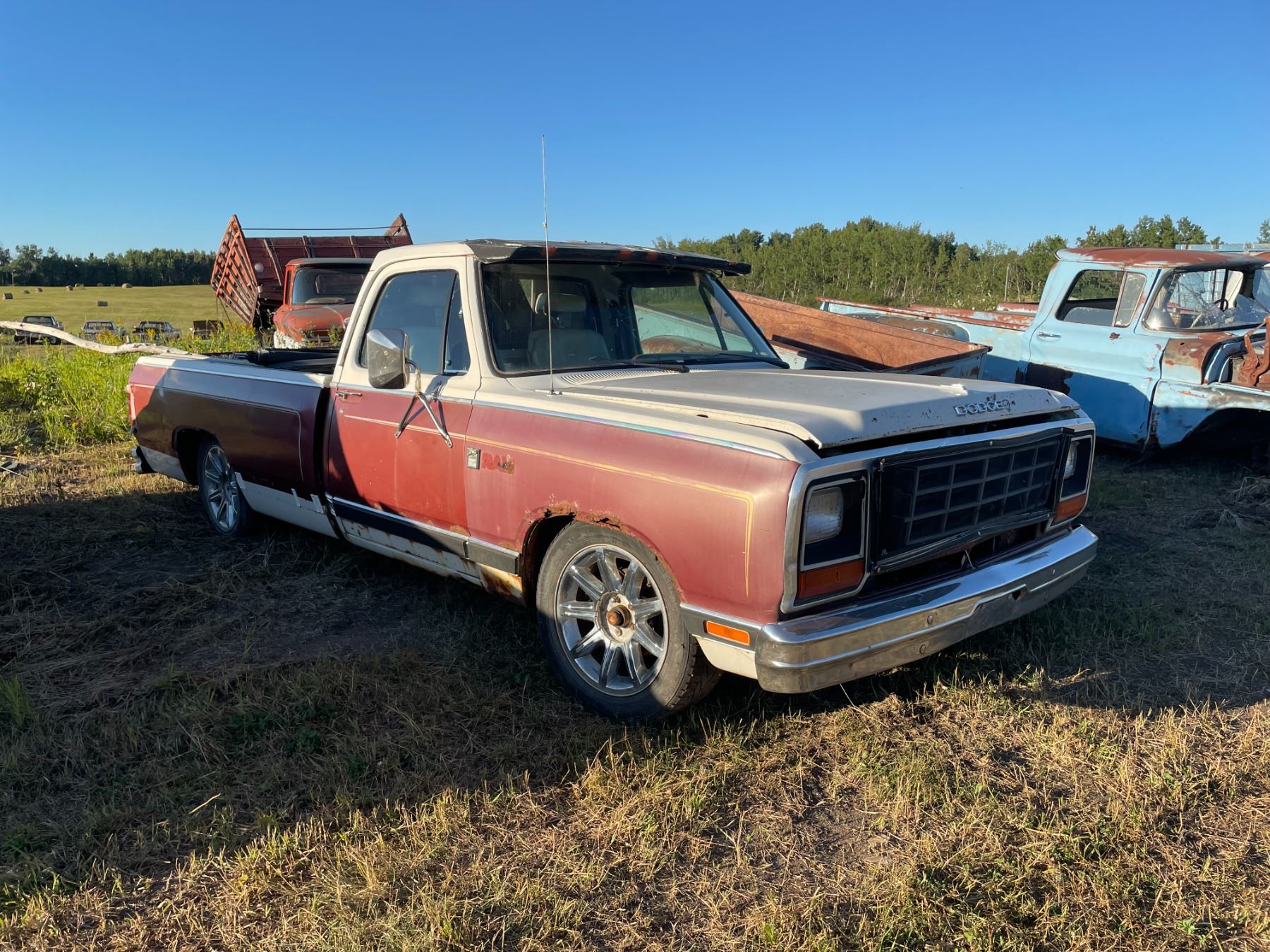 1984 Dodge Ram, 1/2 ton, low rider
