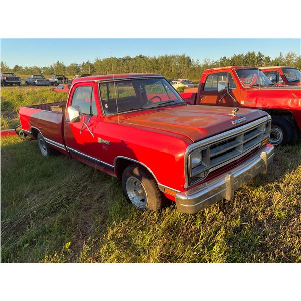 1985 Dodge 1/2 ton, V8 automatic, 2 wheel drive