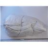 Image 1 : *Queen Size Feather Duvet