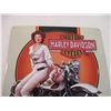 Image 2 : Harley Davidson tin sign 13x15