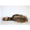 Image 2 : Beaver Fur Hat