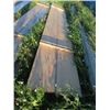 Image 3 : (3) 2" x 10" x 14 ' & (2) 2" x 10" X 12 ' & (2) 2" x 12" x 12 ' - Total 7 Boards