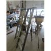 Image 3 : 2 Aluminum Step Ladders