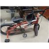 Image 1 : Avigo Youth Pedal Bike with Training Wheels & Helmet