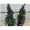 Image 2 : 2 Light Up Christmas Trees 36" Tall