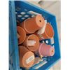 Image 3 : 2 Crates Full of Planters
