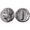 Image 1 : Greek coins, Metapontum, Nomos