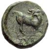Image 3 : Greek coins, Sybaris, Bronze
