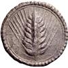 Image 2 : Greek Coins, Metapontum, Nomos
