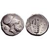 Image 1 : Greek Coins, Metapontum, Nomos