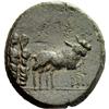 Image 3 : Roman Emp., Tiberius, Bronze