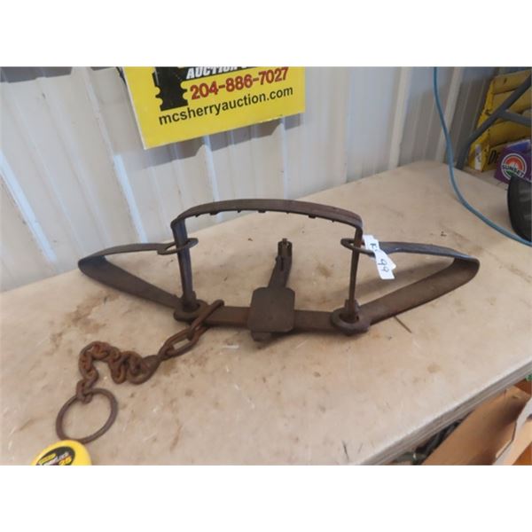 Blacksmith Bear Trap with Teeth 14" Wide Jaw End to End 41"