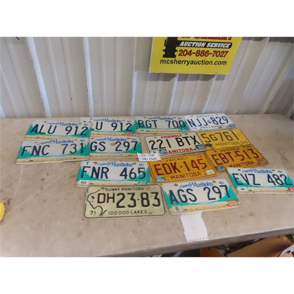 14 License Plates