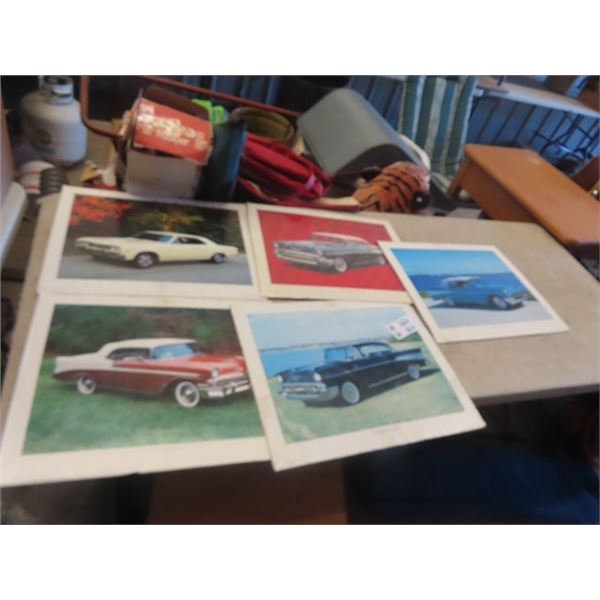 Paper/Cardboard Dealership Car Advetising 18" x 20"