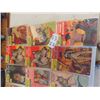 Image 3 : 12 Classic Illustrated Comics $0.15 -$0.25