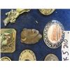 Image 3 : 12 Belt Buckles - Railway + Wildlife