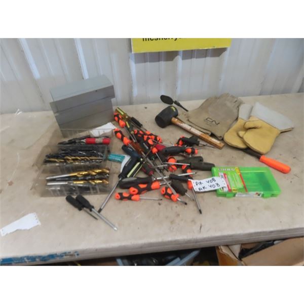Drill Bits, Scewdrivers, Rubber Mallet, Tire Repair, Gloves