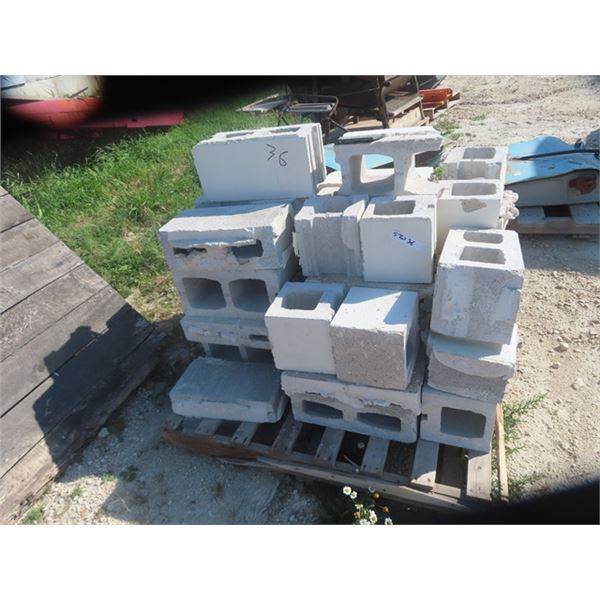 Pallet of Cinder Blocks - some good - some not
