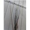 Image 3 : 13-15 Fishing Rods - Most have Reels