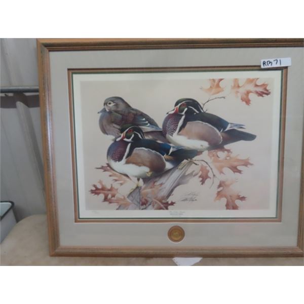 Ducks Unlimited Framed Print