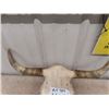 Image 3 : Long Horn Skull