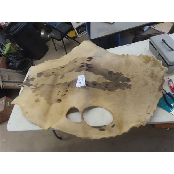Tanned Seal Hide 36" x 56"