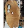 Image 4 : Tanned Seal Hide 36" x 56"