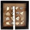 Image 7 : Framed Shadowbox of Prehistoric Pottery Sherds