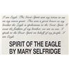Image 6 : Spirit of the Eagle Framed Print, Mary Selfridge