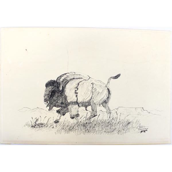 Original Pen Ink Painting of Buffalo