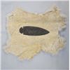 Image 5 : Contemporary Hand Knapped Spearhead w Rabbit Pelt
