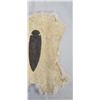 Image 7 : Contemporary Hand Knapped Spearhead w Rabbit Pelt