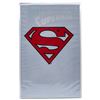 Image 1 : ADVENTURES OF SUPERMAN #500 WHITE BAG EDITION