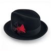 Image 1 : LANNING BELLEVILLE FEDORA STYLE FELT HAT FEATHER