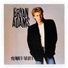 Image 1 : BRYAN ADAMS YOU WANT IT YOU GOT IT LP RECORD