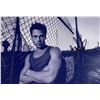 Image 1 : Autograph Signed Brad Pitt Photo